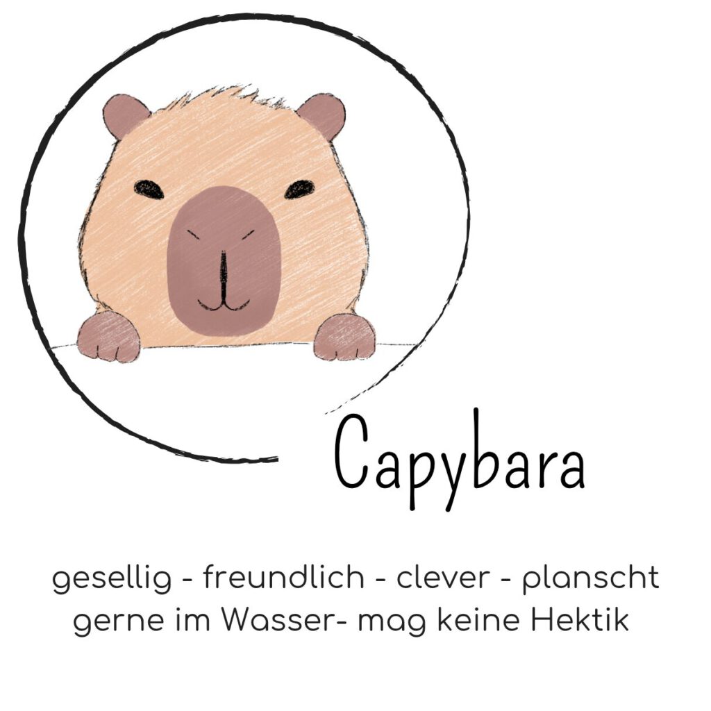 Mutmach Capybara