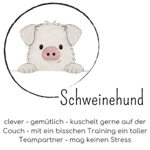 Mutmach Schweinehund - gemütlich, kuschelt gerne, mag keinen Stress