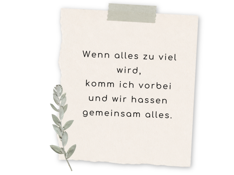 Wenn alles zu viel wird, komm ich vorbei und wir hassen alles gemeinsam.